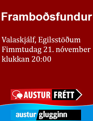 ÚA - framboðsfundur nóvember 2024a