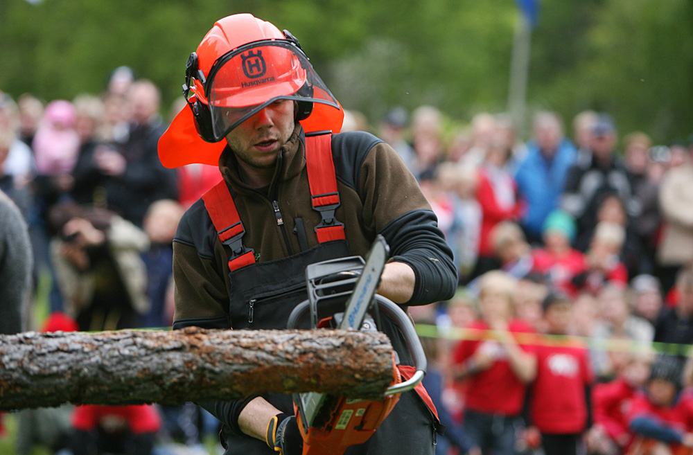 skogardagurinn2008