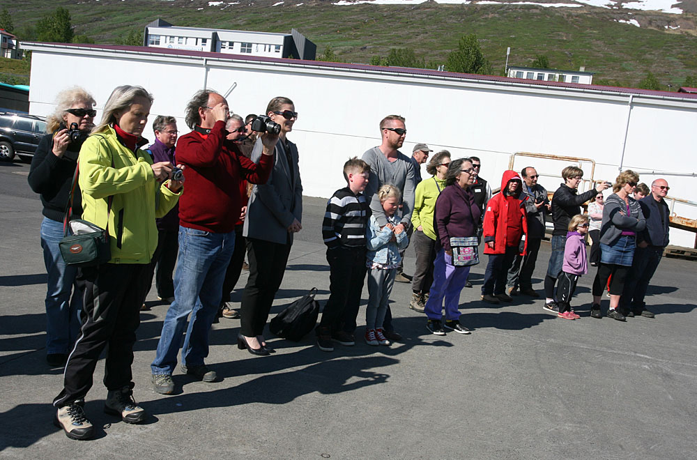 fronsk skonnorta 0021 web