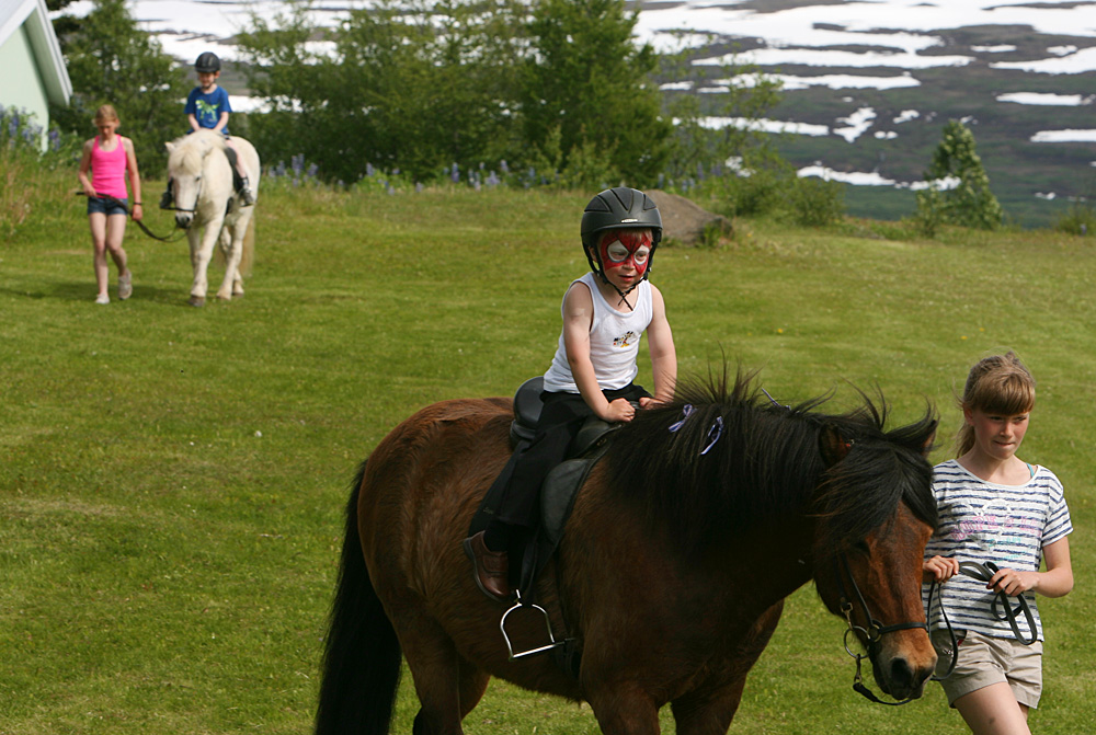 17juni egs 2014 0117 web