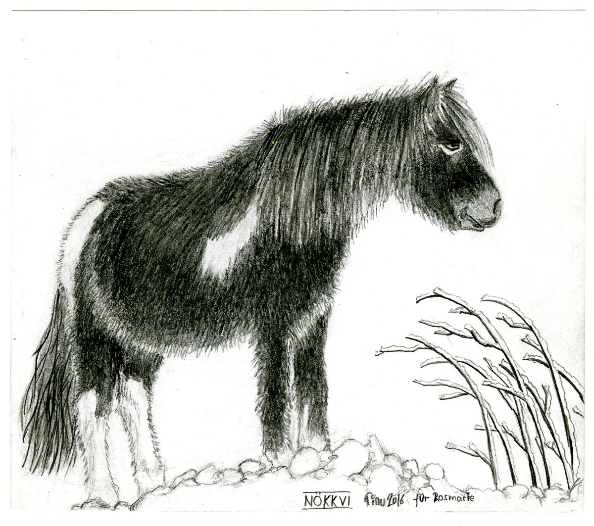 Sýning í Breiðdalssetri4