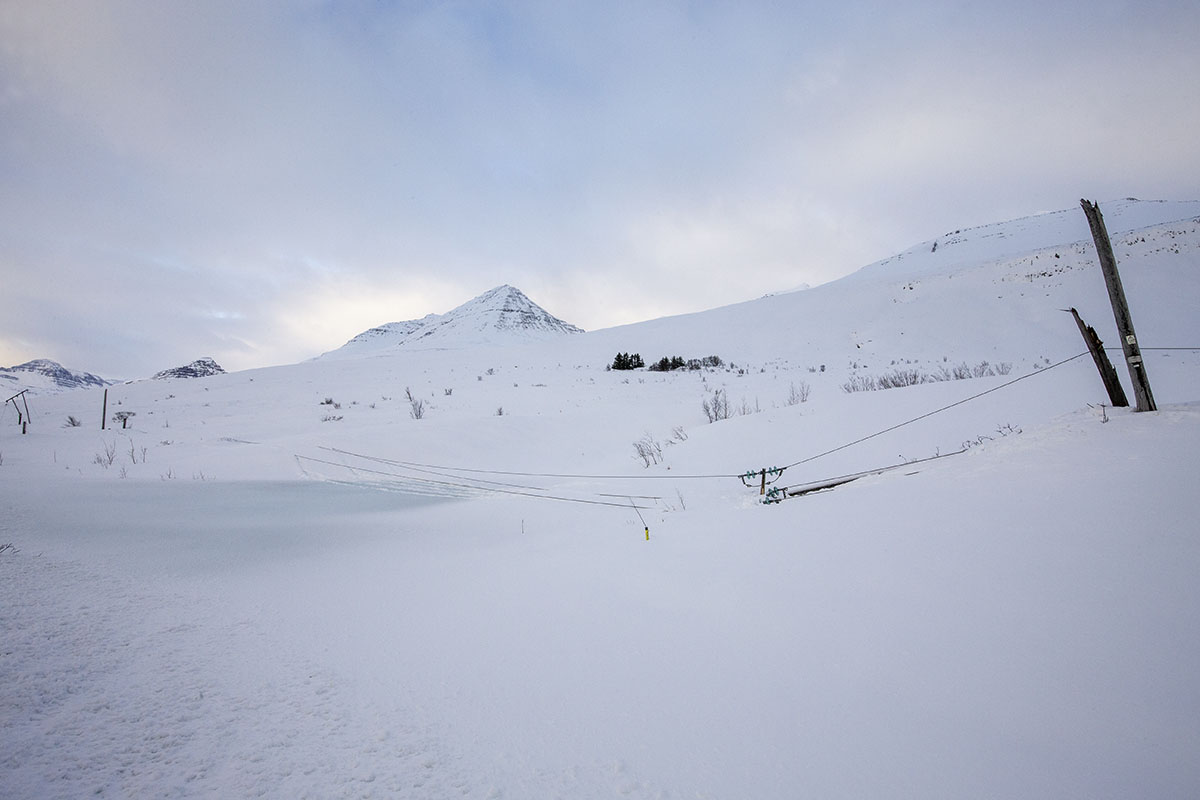 Stod Fask Raflinur Jan25 0001 Web