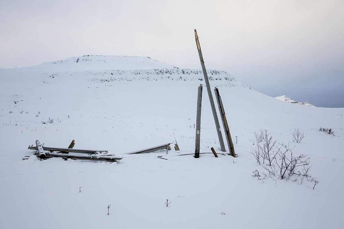 Stod Fask Raflinur Jan25 0012 Web