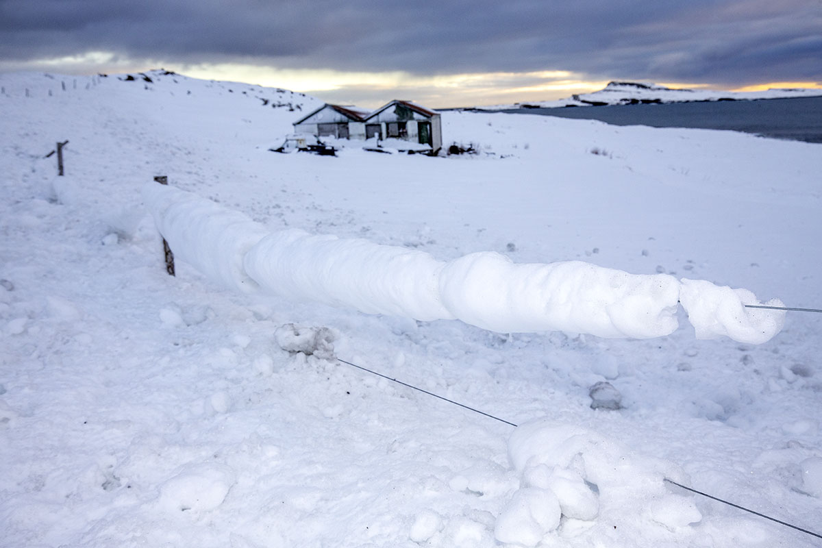 Stod Fask Raflinur Jan25 0022 Web