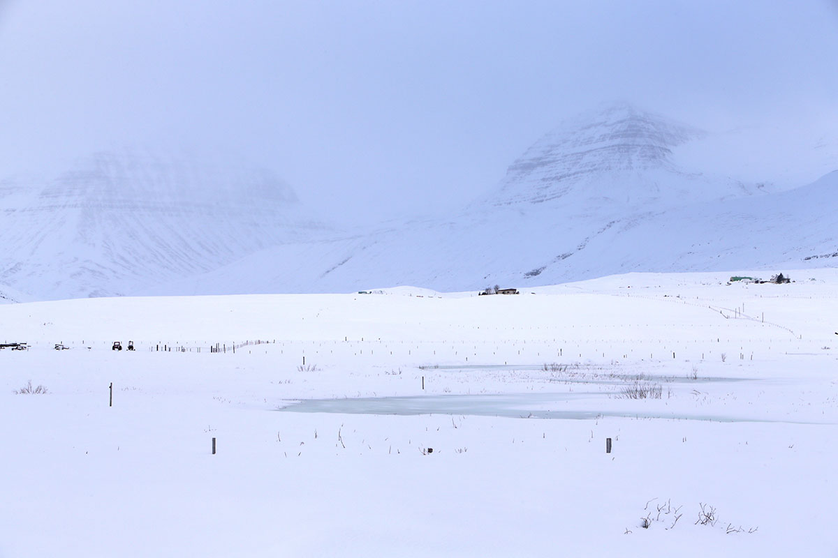 Stod Fask Raflinur Jan25 0024 Web