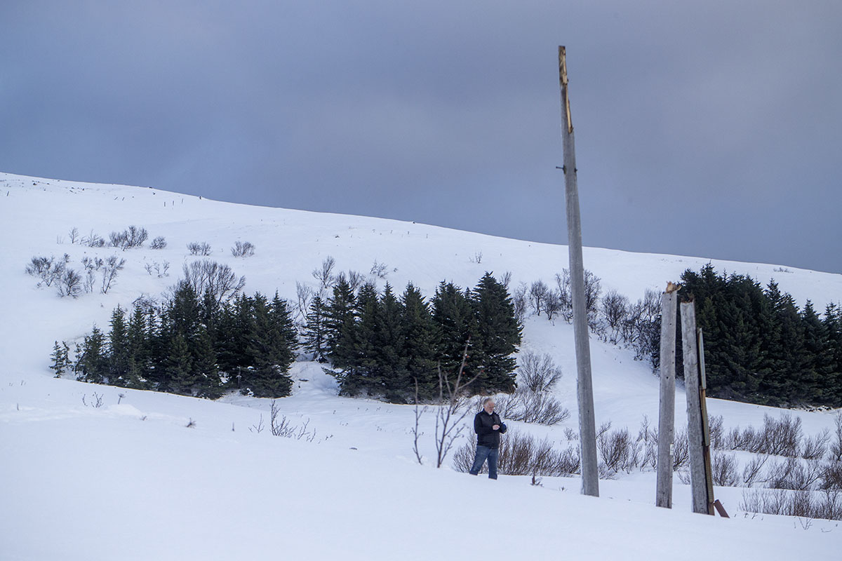 Stod Fask Raflinur Jan25 0049 Web