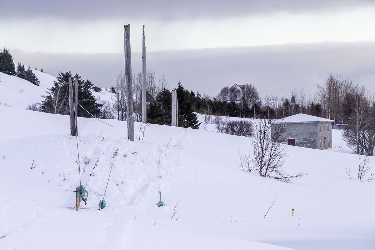 Stod Fask Raflinur Jan25 0063 Web