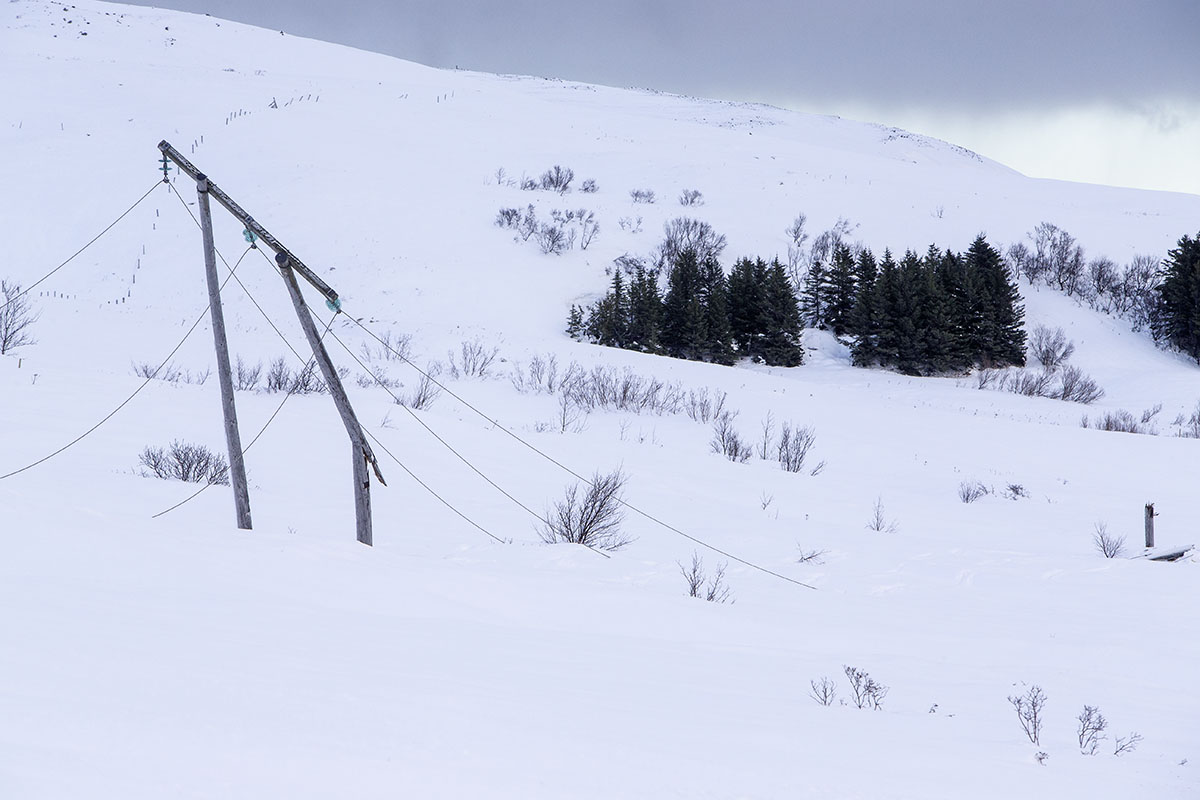 Stod Fask Raflinur Jan25 0067 Web