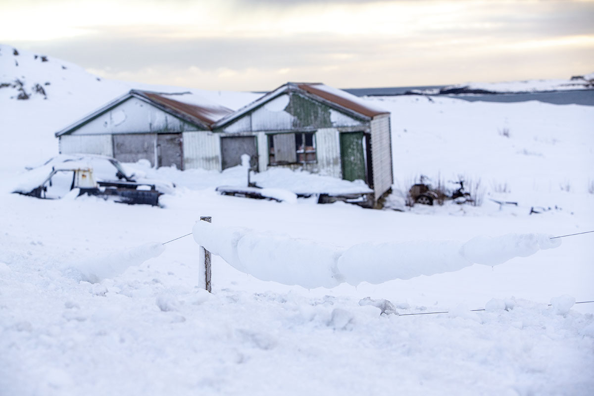 Stod Fask Raflinur Jan25 0085 Web