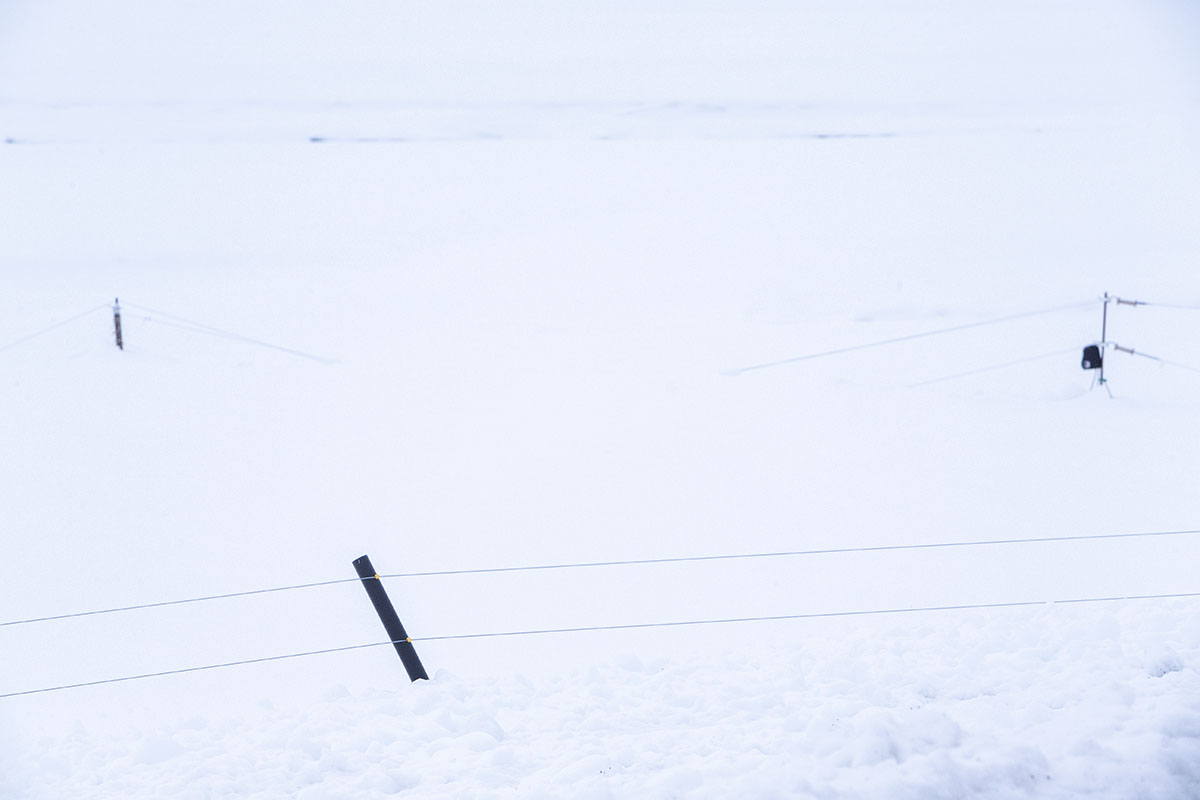 Stod Fask Raflinur Jan25 0094 Web