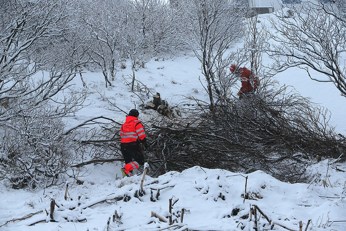 Stodvarfjordur Tiltekt 20250207 0027 Web