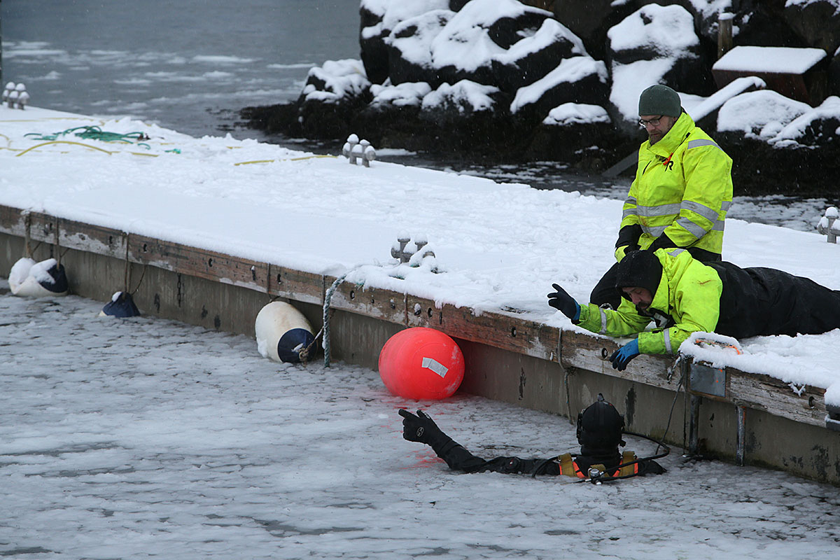 Stodvarfjordur Tiltekt 20250207 0040 Web